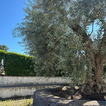 Carlo Σπίτι διακοπών Giarre